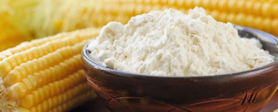 Uma tigela com Waxy Maize - Growth Supplements e dois milhos ao fundo